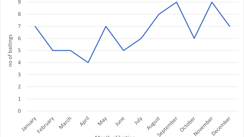 Chart showing the incidence of baiting records by month