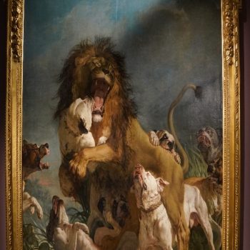 A huge lion fights off dogs in the centre of a large photo of a classical painting, its gilded frame visible around the sides.