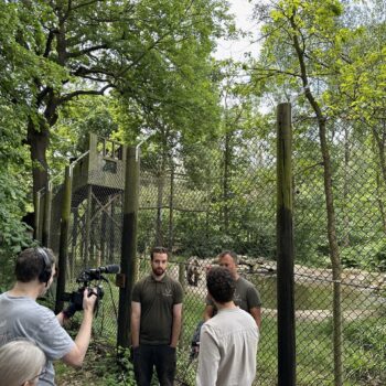 Two men in green t shirts talk to a camera with a man in a blue t shirt holding it, to the right another man in a grey shirt holding a mic. In the background is a tall fence with a bear in the distance walking towards the speakers, surrounded by greenery and a pond.